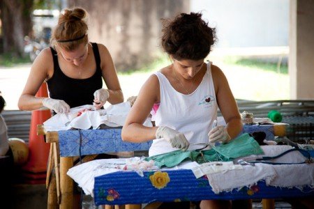 Charity Video - Lanta Animal Welfare, Thailand