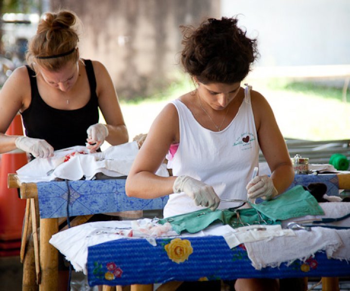 Two volunteer vets operate at one of Lanta Animal Welfare's mobile sterilisaion clinics.